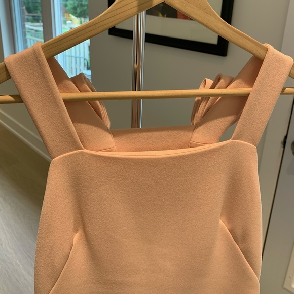 Club Monaco Peach Fuzz Mini dress with bow details - Picture 13 of 14